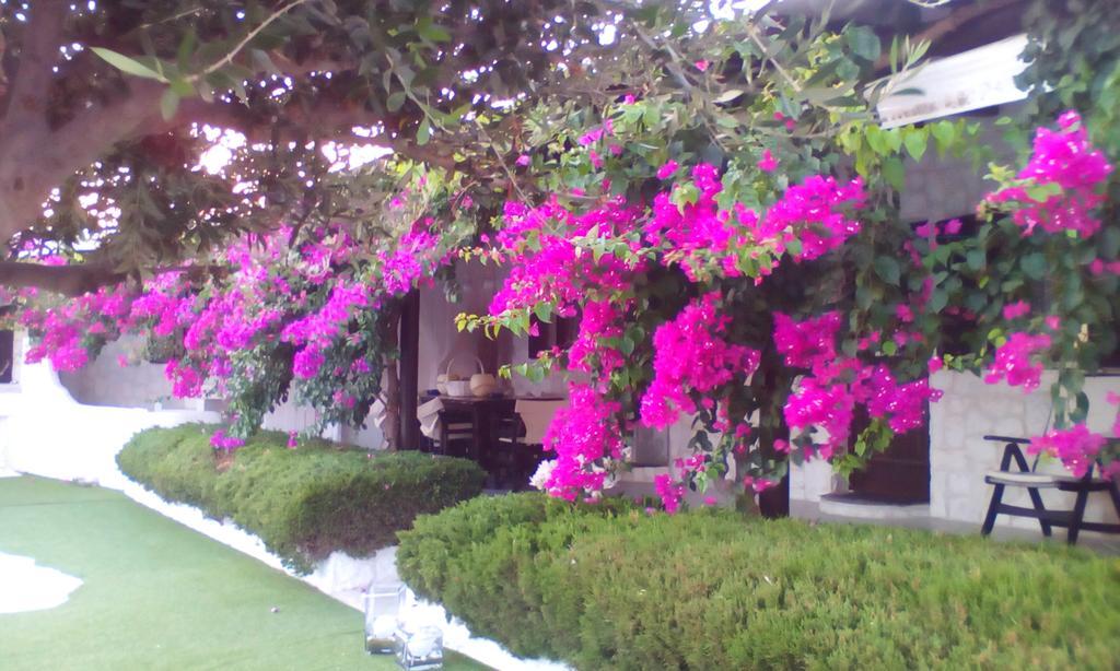 Hidden Heaven Villa Mykonos Town Ngoại thất bức ảnh